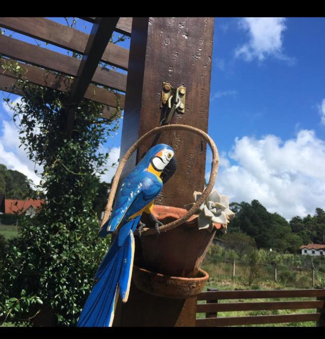 Casa Da Serra São Francisco de Paula Exteriér fotografie